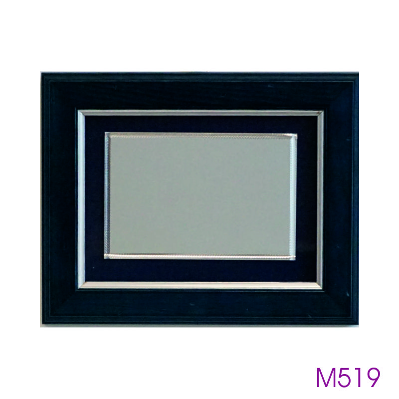 M519.jpg