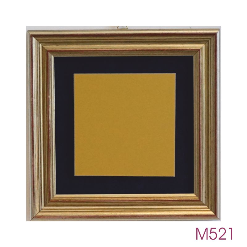 M521.jpg