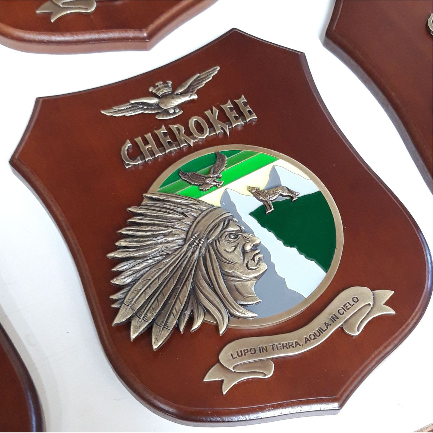 Crest Corso Cherokee Accademia Aeronautica